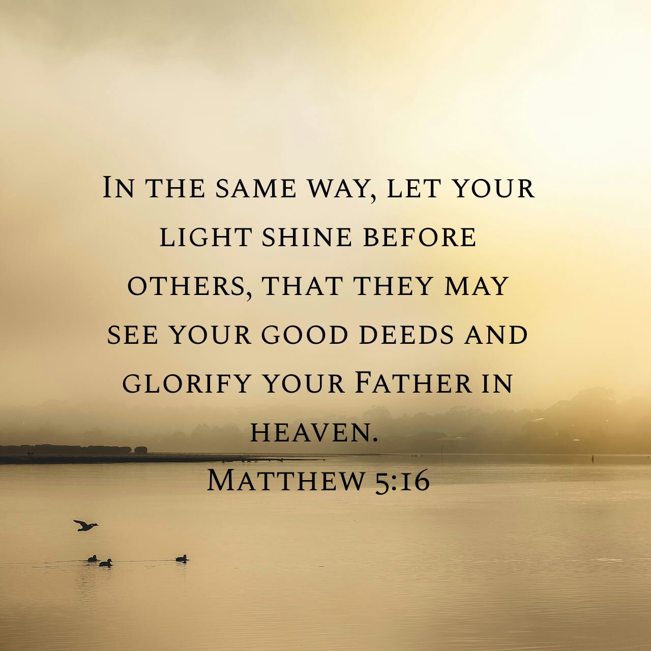 You are currently viewing Matthew 5.16