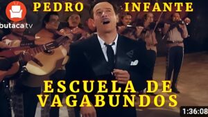 Read more about the article Escuela de vagabundos pelicula completa de pedro infante