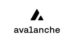 Read more about the article Avalanche (AVAX)