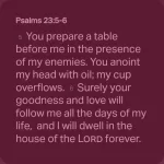 Psalms 23:5-6 NIV‬