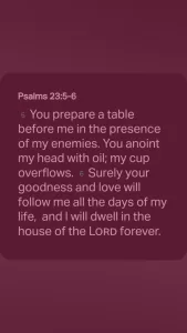 Read more about the article Psalms 23:5-6 NIV‬