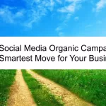 🌟 Social Media Organic Campaign — The Smartest Move for Your Business