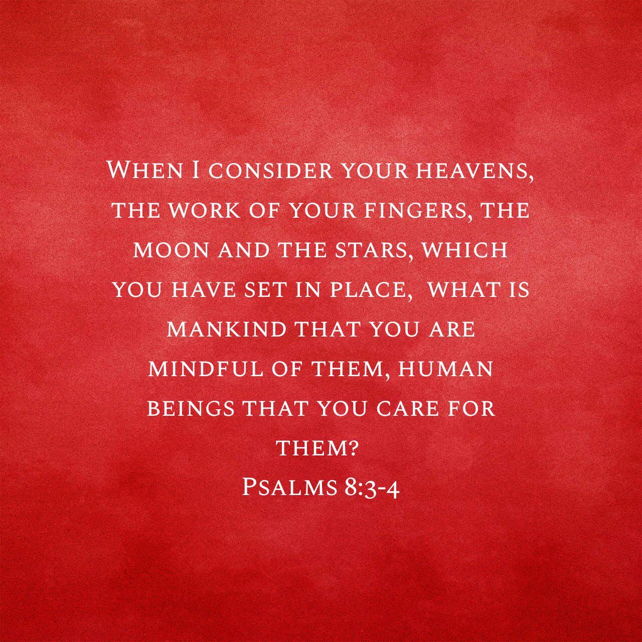 You are currently viewing Psalms 8.3.4