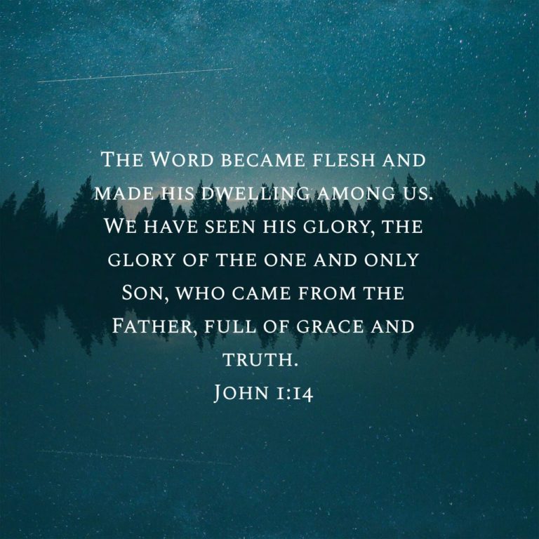 Read more about the article John 1.14