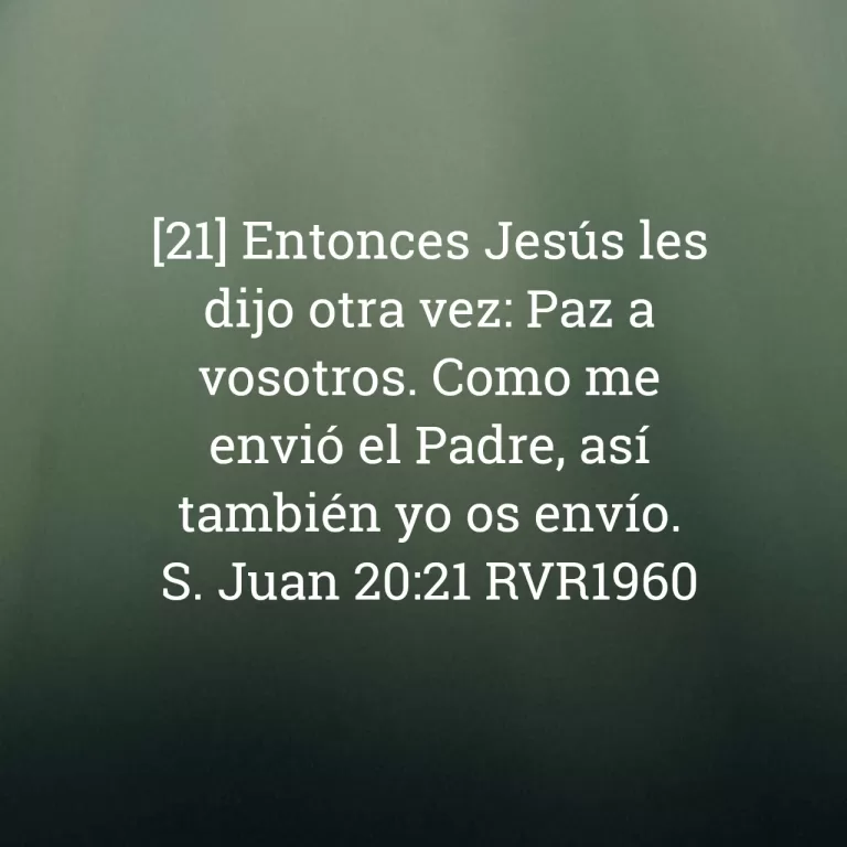 Read more about the article S. Juan 20:21 RVR1960