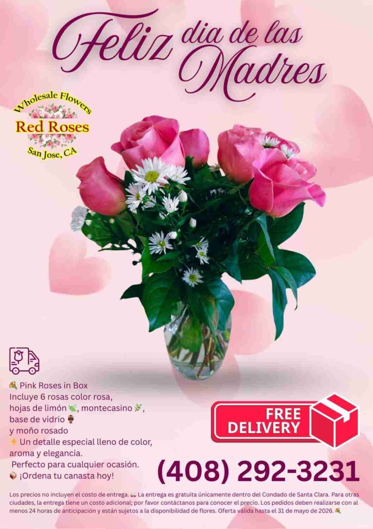 Read more about the article Pink Roses in Box